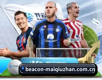 平台简介